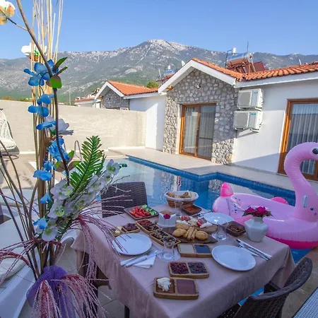 别墅 Likya Safir 2+1 Villa, Oezel Havuzlu,
